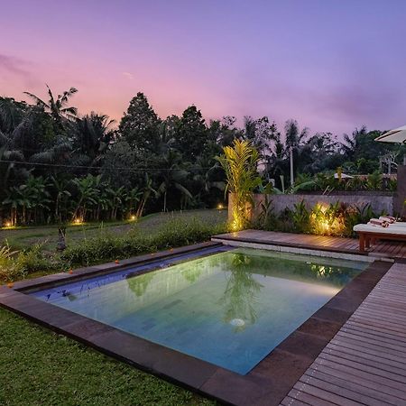 Carik Mesari Villas 乌布 外观 照片