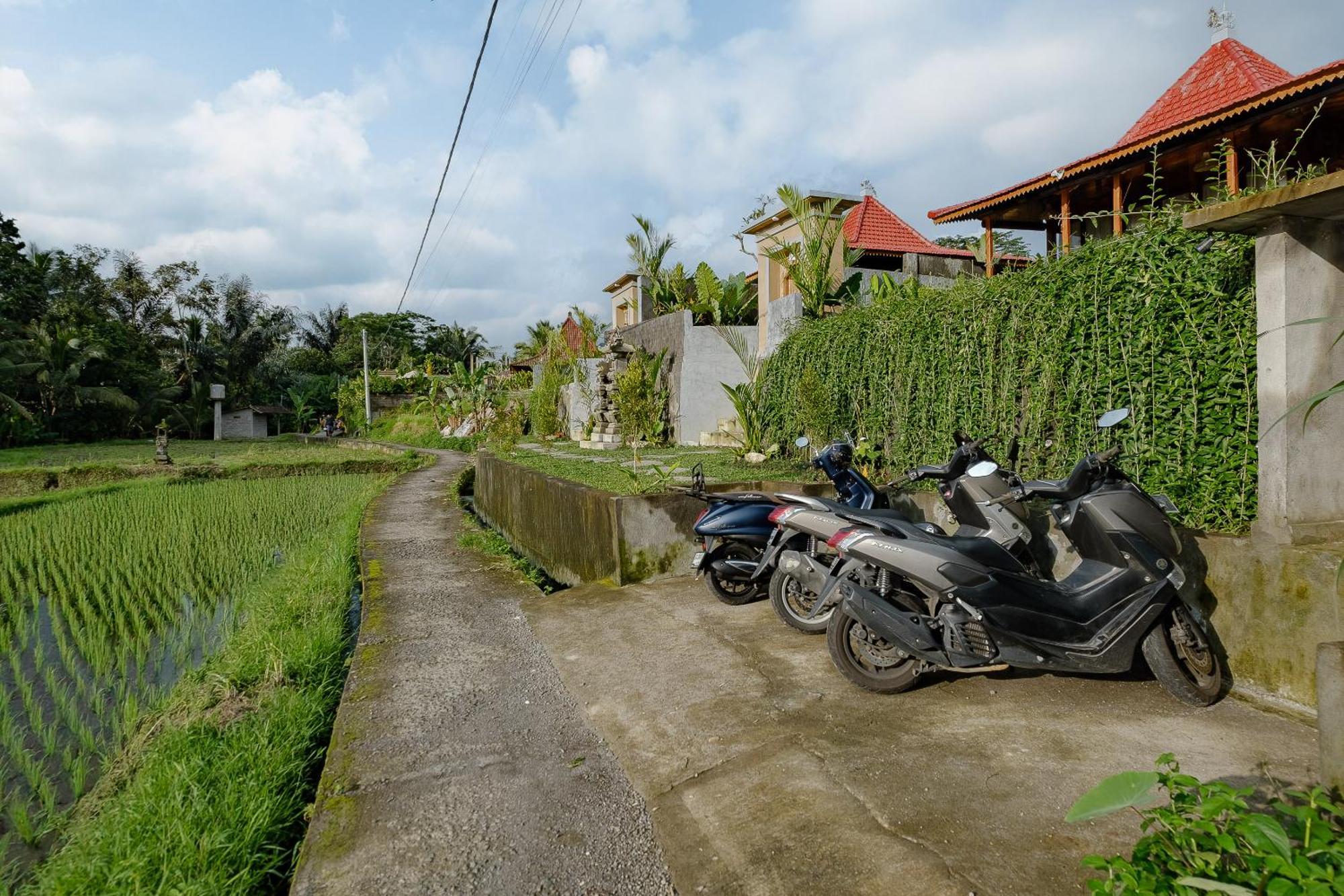 Carik Mesari Villas 乌布 外观 照片