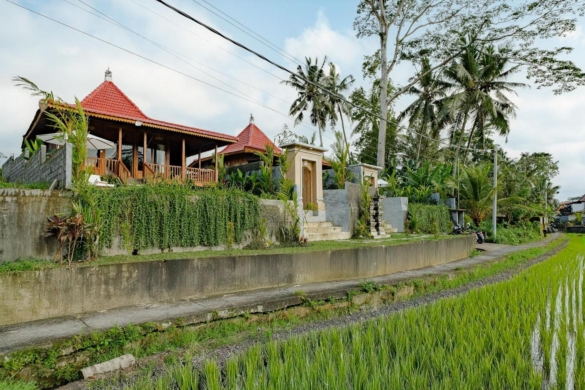 Carik Mesari Villas 乌布 外观 照片